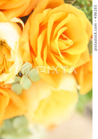 花束（黃玫瑰） 496165