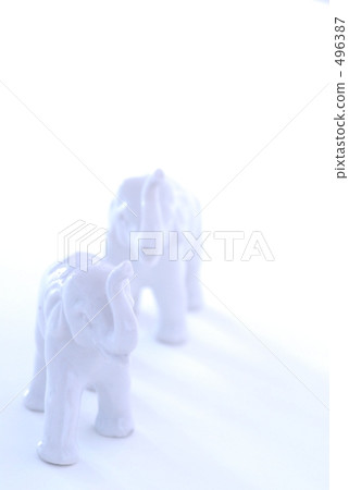 elephant  496387