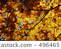 Yellow yellow yellow 496465