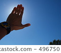 The palm to the sun The palm to the sun 496750