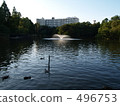 Inokashira Park's pond Inokashira Park's pond 496753