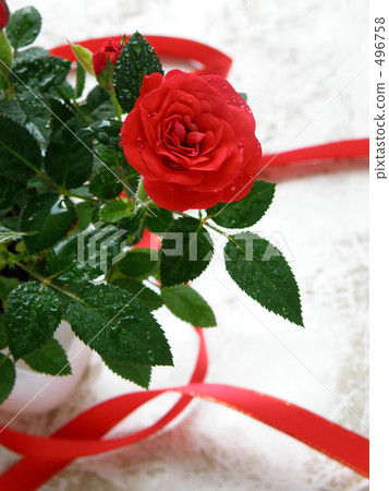 Mini-roses and ribbons Mini-roses and ribbons 496758