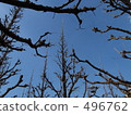 In front of Gaienma, look up at the sunny sky In front of Gaienma, look up at the sunny sky 496762