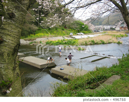 男孩在河裡玩 男孩在河裡玩 496788