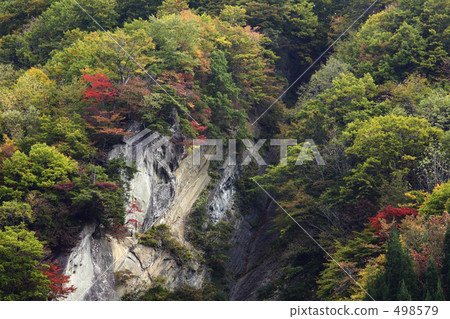 Autumn leaves 498579