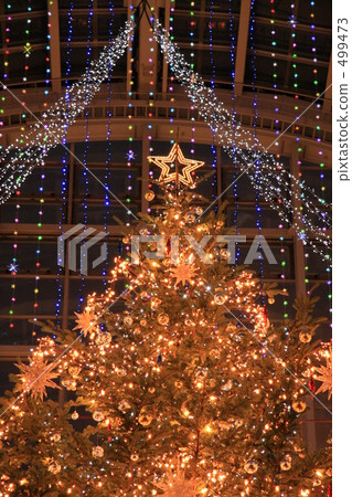 聖誕樹 聖誕樹 499473