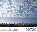 Fall, Odaiba Fall, Odaiba 499720