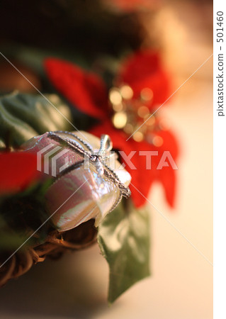 Christmas lease zoom 4 501460