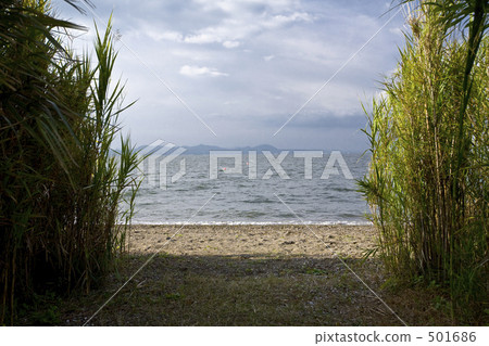 Utsumi來自叢林 501686