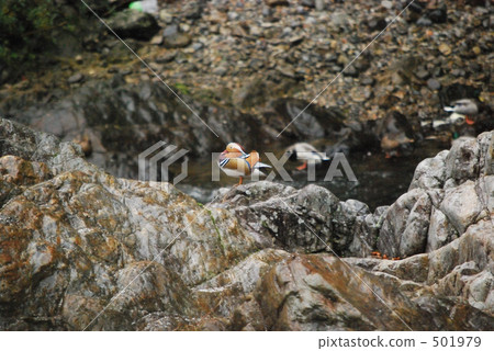 Break on a rocky place 501979