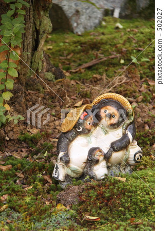 动物/鸟类 陆地动物 貉/狸猫 照片 貉狸 塑像 首页 照片 动物/鸟类