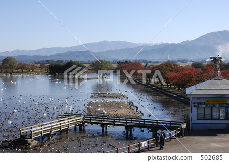 羅湖全景 羅湖全景 502685