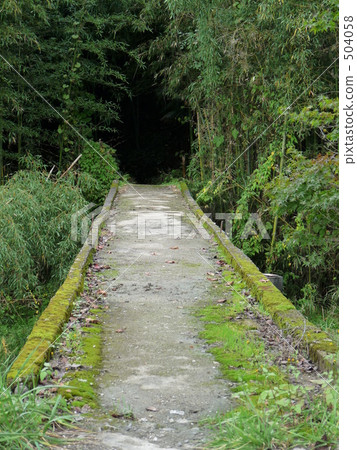 一座長滿青苔的橋樑 504058