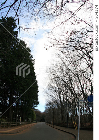 road road 504374