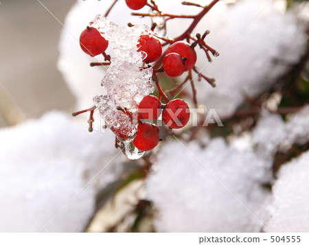 Southern skies and snow 504555