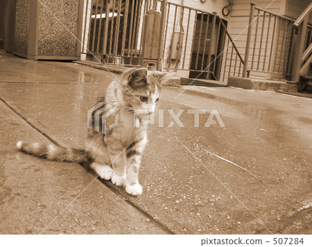 Boring afternoon 507284