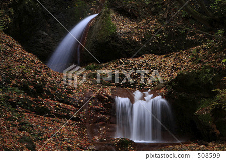 下落葉子的米子河 508599