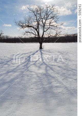 Landscape "Taiki" Landscape "Taiki" 509241