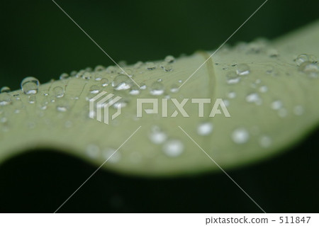 drop, Drop Of Water, water drop 511847