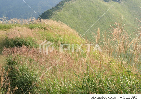 Highland Susuki Highland Susuki 511893