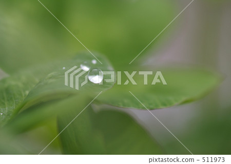 drop, Drop Of Water, water drop 511973