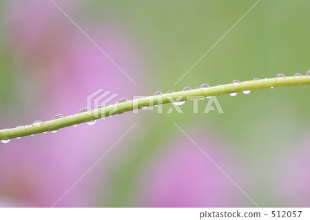 Drop Of Water, drop, water drop 512057