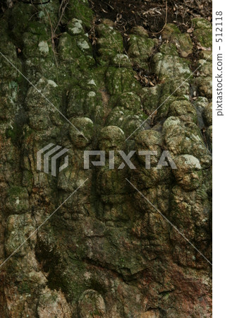 長滿苔蘚的石佛群 512118