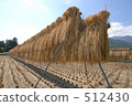 Rural landscape 512430