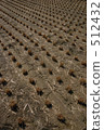 Rural landscape 512432