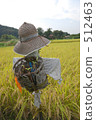Rural landscape 512463