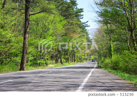 公路 公路 513230