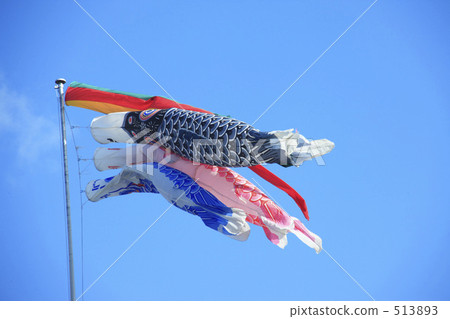Carp streamer Carp streamer 513893