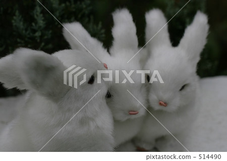 長毛絨 毛絨玩具 兔子 514490