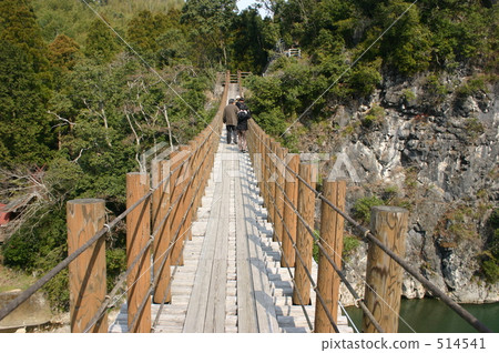 suspension bridge, mountain forest, mountains and forest 514541