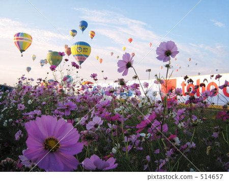 Cosmos and balloon Cosmos and balloon 514657