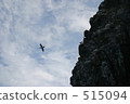 bird, birds, fowls 515094