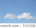 blue sky, migratory, migratory bird 515108