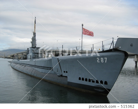 夏威夷Bowfin 515362