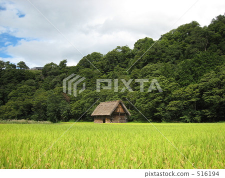 Gifu Shirakawago 516194