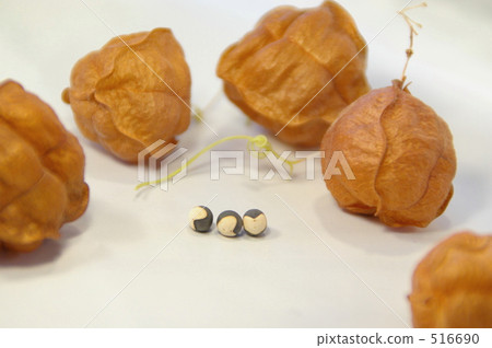 富森克魯茲 516690