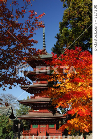 Autumnal leaves and five-storied pagoda Autumnal leaves and five-storied pagoda 517200