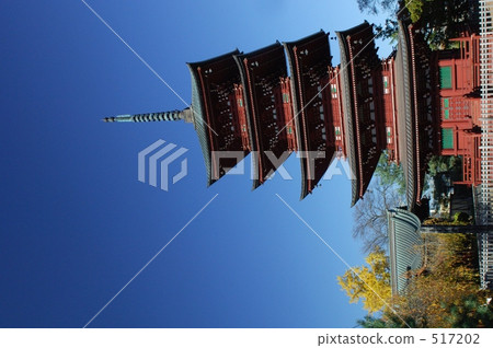 Blue sky and five stories Blue sky and five stories 517202