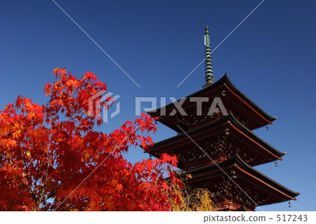 秋葉和五層寶塔 秋葉和五層寶塔 517243