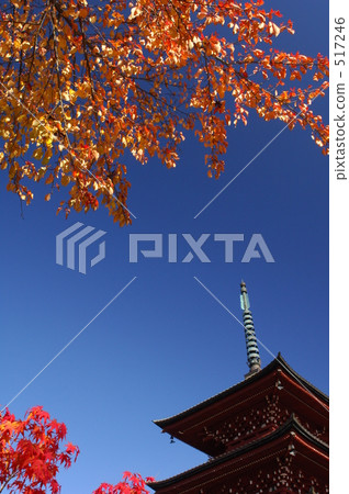 布朗葉和五個故事 布朗葉和五個故事 517246