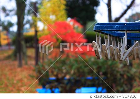 Autumn leaves and clothespins 517816