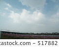 Toyohashi's Sky and Cosmos 517882