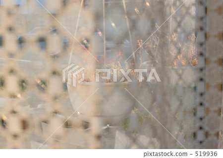 花邊 蕾絲 競賽 519936