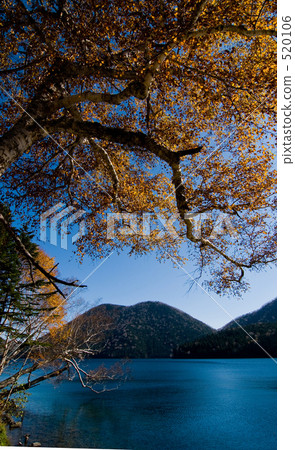 Futoshi Tomotsuko fall 520106