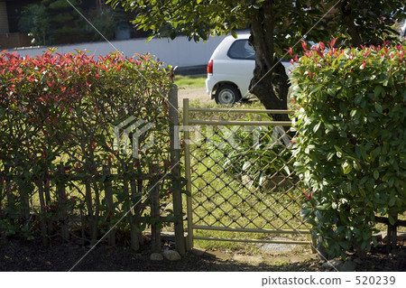 Back door 520239