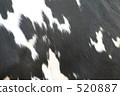 牛圖案 520887